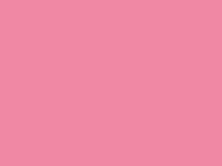 P373-flamongo-pink.png